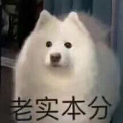 randomdog1994's profile picture