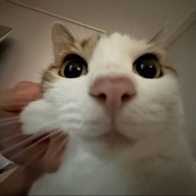 수목이's profile picture
