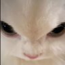 👽 的头像