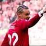 abou's profile picture