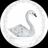 دُعٓــٌـاءّ✨🦢 的头像