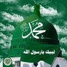 المتوكل علا الله's profile picture