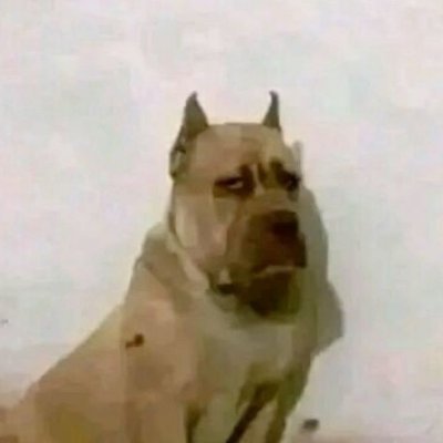 zxzylalisa's profile picture