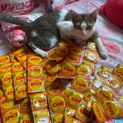 Bell92yy's profile picture