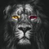 Kadir's profile picture