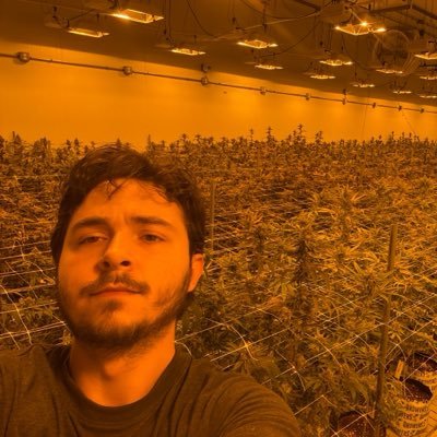 davis rugs not drugs 🏃♂️'s profile picture