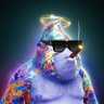 traderque 🟨's profile picture