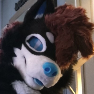 BarkinB1ue's profile picture