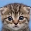 9DJHe3CUFh29674's profile picture