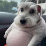 Profilbild von Javier