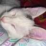 currentlyundersupervision's profile picture
