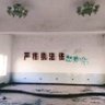 2000 的头像