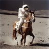 Enrico Lombardi's profile picture