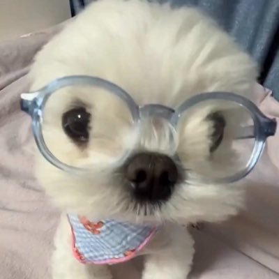 itsbeechu's profile picture