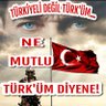 A. Polat profil fotoğrafı