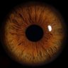 Momen005's profile picture