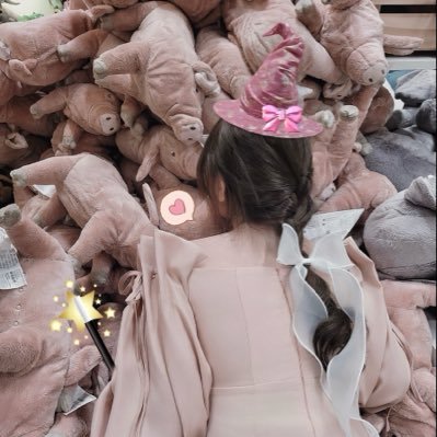 หงหงจุ๋ง🦢's profile picture