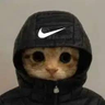 mireo1x's profile picture