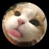 sunanda mahto's profile picture