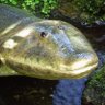 tiktaalik de lioncourt's profile picture