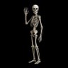was a human once 的头像