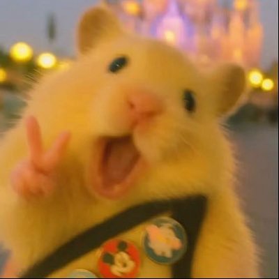 elin's profile picture