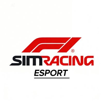 SimRacingEspor's profile picture
