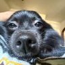 dê's profile picture