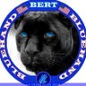 🇺🇸Bert🇺🇸⭐️⭐️⭐️ 的头像