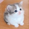 Profilbild von りり