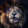 Eighty Johansen's profile picture