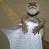 د.ضبضوب 🦎's profile picture