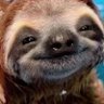 Bellbelli profil fotoğrafı