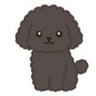 Profilbild von あんぷち