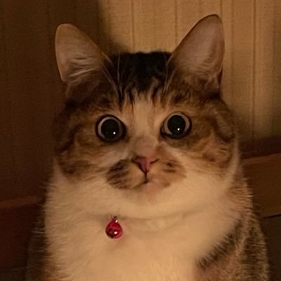 san_chin_'s profile picture