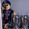 Kc Zyrox's profile picture