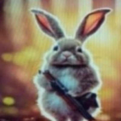 rubitotatare's profile picture