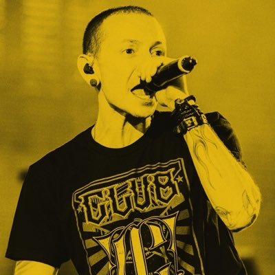 acervolinkinp's profile picture