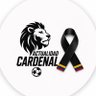Actualidad Cardenal 🦁🇲🇨 profil fotoğrafı