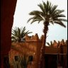 بن يوسف الحربي profil fotoğrafı