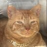 Jax profil fotoğrafı