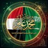 Mohammed Amer 的头像