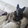 BGivka's profile picture