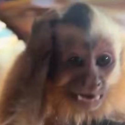 kei_changos's profile picture