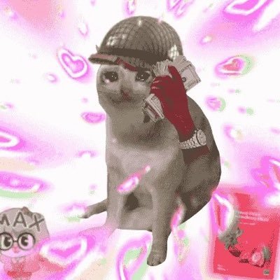 0xSvinci's profile picture
