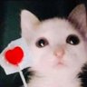 A's profile picture