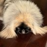 Rachel's profile picture