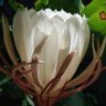 Фото профиля whats in a name (everything) !