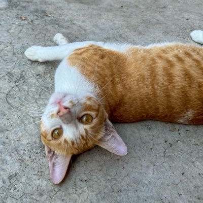 y_6787181812's profile picture