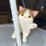 Profilbild von ユナ.PLLI.WITHID